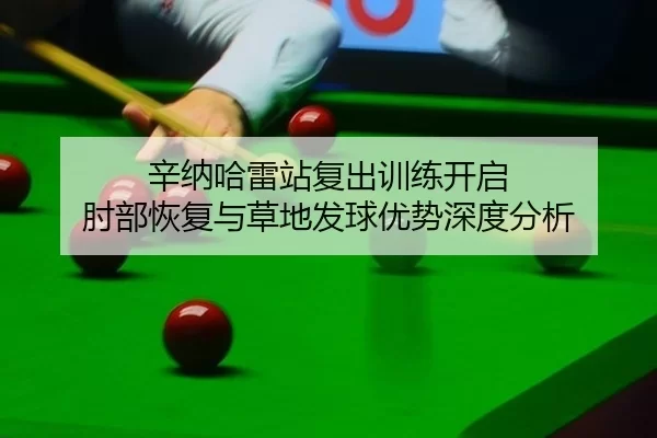 辛纳哈雷站复出训练开启 肘部恢复与草地发球优势深度分析